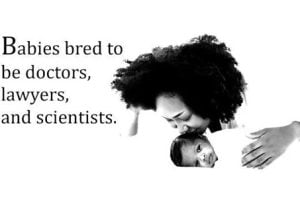 The Magnitude Of Black Beauty