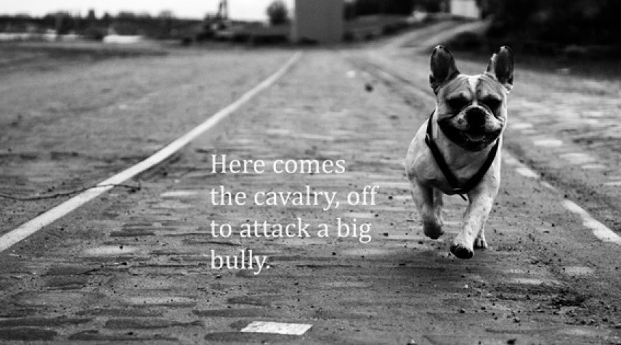 How To Handle A Big Bully