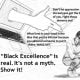 Shedding A Demeaning Cultural Pigeonhole