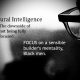 Cultural Intelligence: If We Are Not Builders