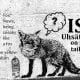 Fox News Mimics Its Name