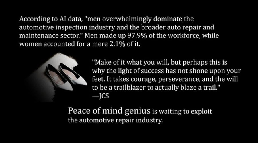 An Underserved Niche Auto Industry Idea