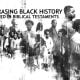 Black History Roots Run Far And Wide
